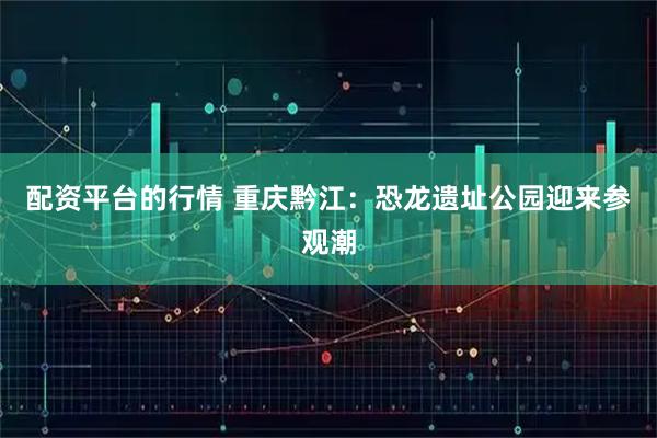 配资平台的行情 重庆黔江：恐龙遗址公园迎来参观潮