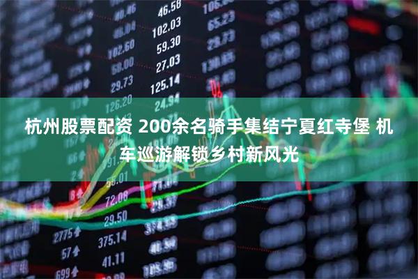 杭州股票配资 200余名骑手集结宁夏红寺堡 机车巡游解锁乡村新风光